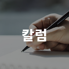 칼럼