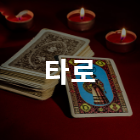 칼럼